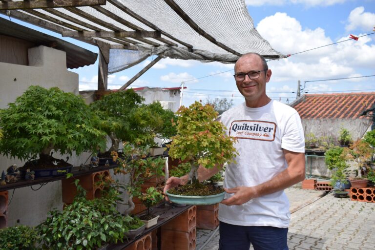 Uma paixão que deu origem a uma coleção diversificada de bonsais