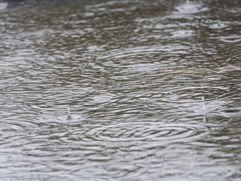 É esperada muita chuva para as próximas 36 horas na região de Lisboa e Vale do Tejo