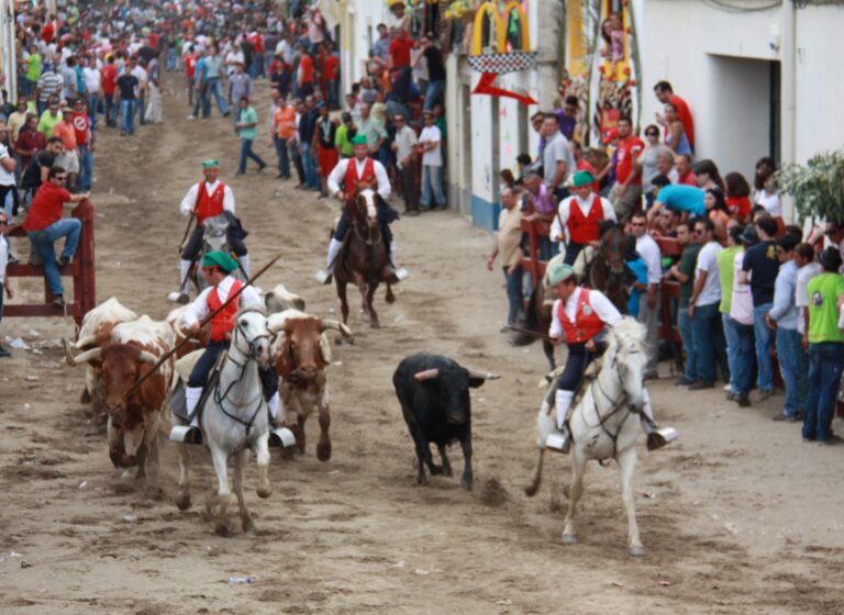 Azambuja no TOP 5 dos Municipios Mais Taurinos