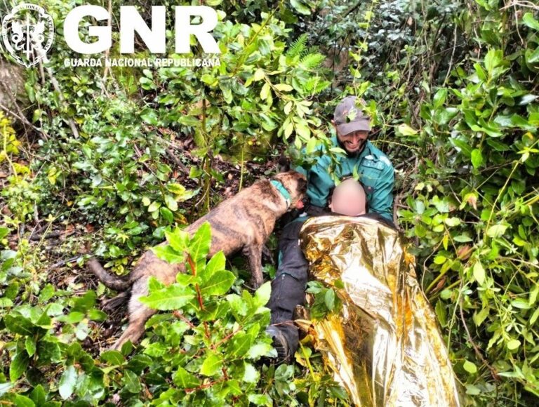 Arruda dos Vinhos: Encontrada com vida idosa que estava desaparecida