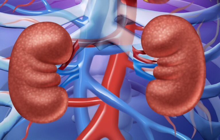 Atualmente cerca de 20 por cento da população portuguesa é afetada pela Doença Renal Crónica