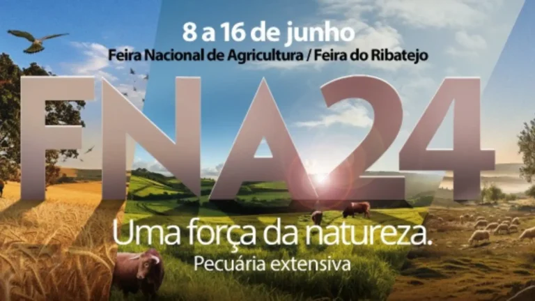 De 8 a 16 de junho no CNEMA em Santarém