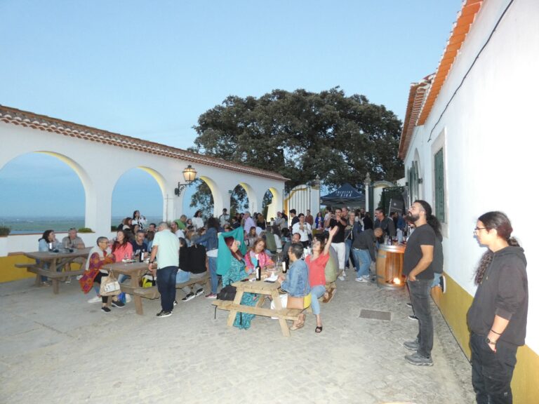 Vinhos e música na Quinta Municipal da Subserra