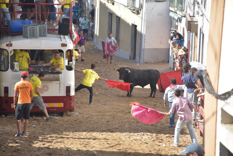 Festas de Arruda são ex-libris local_arquivo