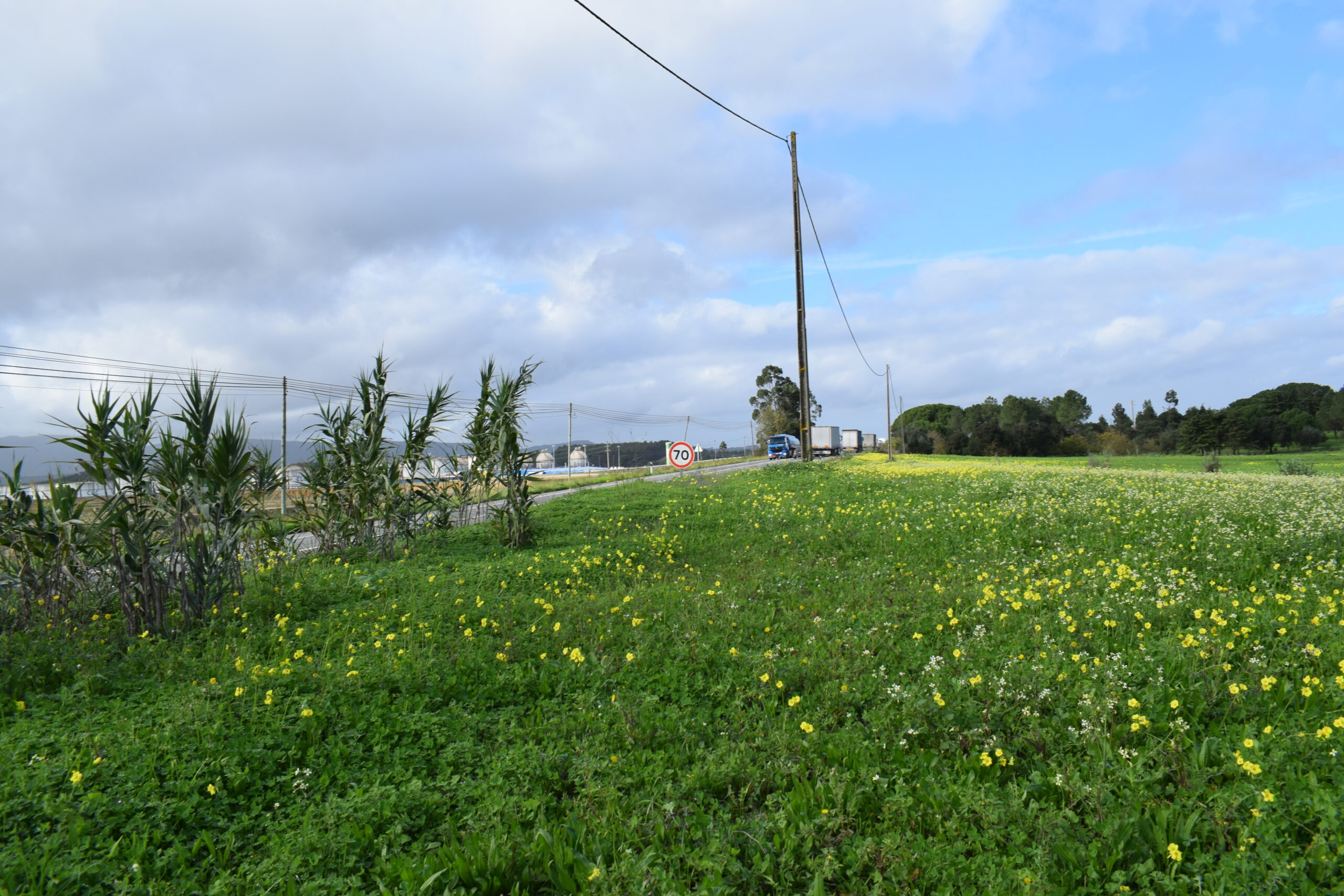 Em 2022 foi dado a conhecer o projeto previsto para estes terrenos entre Aveiras e Alcoentre