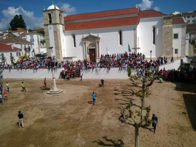 Esperas de touro são sempre o grande chamariz do evento