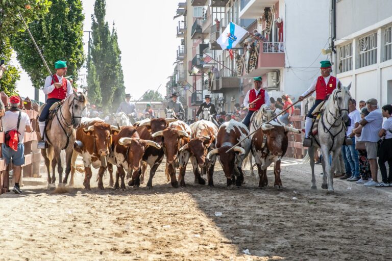 Diário do Colete: Vila Franca de Xira despede-se das festas com um domingo repleto de tradição