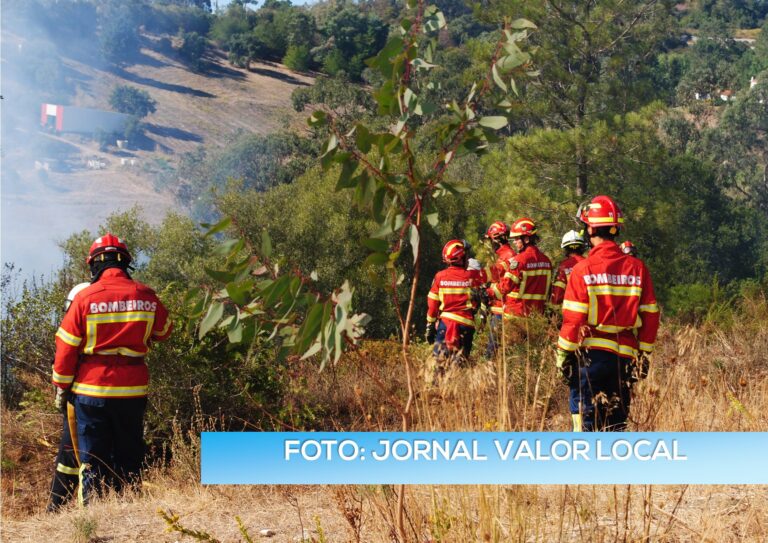 Silvino Lúcio confirma atuação de incendiário no concelho de Azambuja