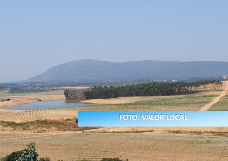Parque vai ocupar zona verde da Torre Bela