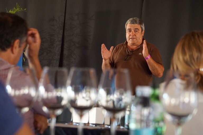 Provas de vinho são um dos pontos altos