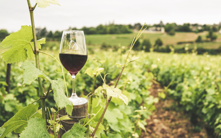Arruda dos Vinhos propõe seis sábados de brunchs e provas para descobrir vinhos locais