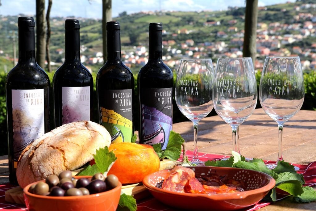 garrafas de vinho encostas de xira