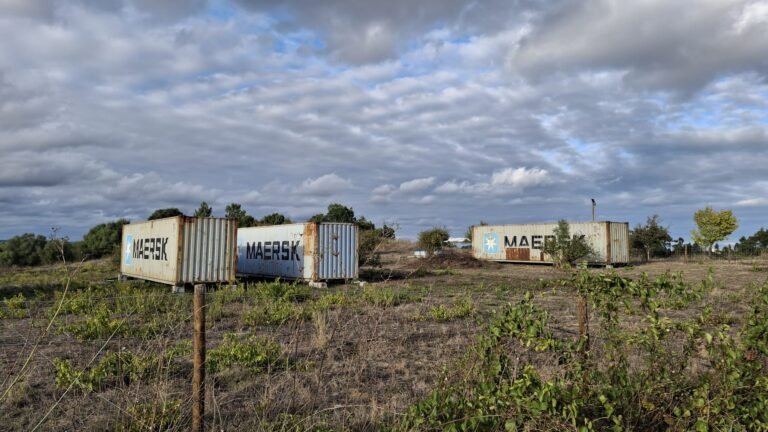 Nesta altura contentores com menos de 60 dias para saírem do local