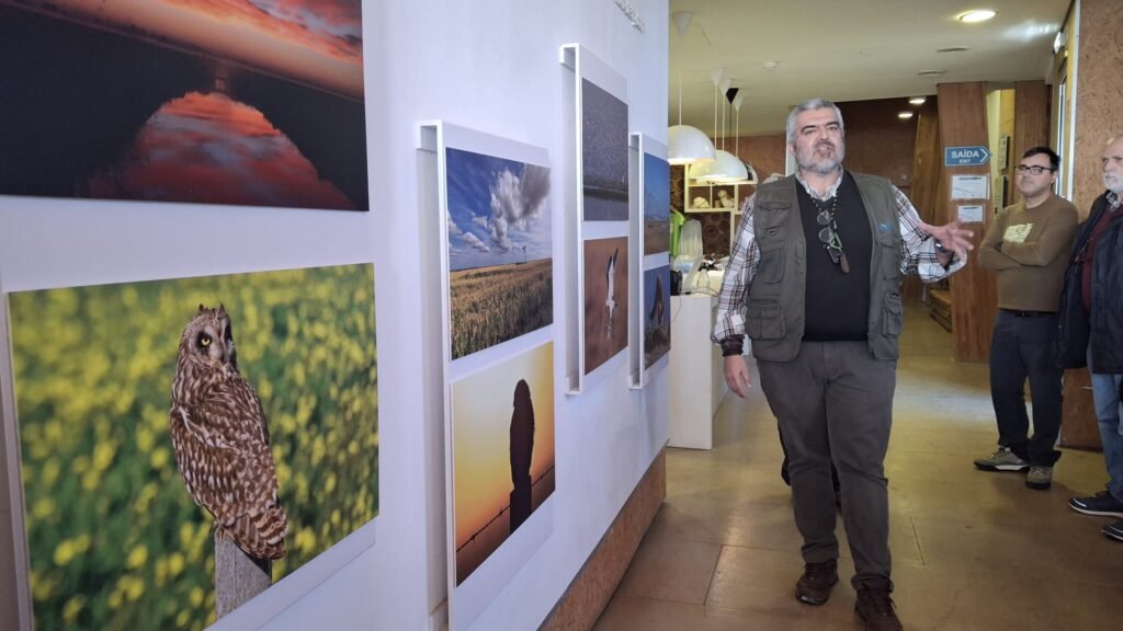 António Heitor e as obras que estão patentes no EVOA