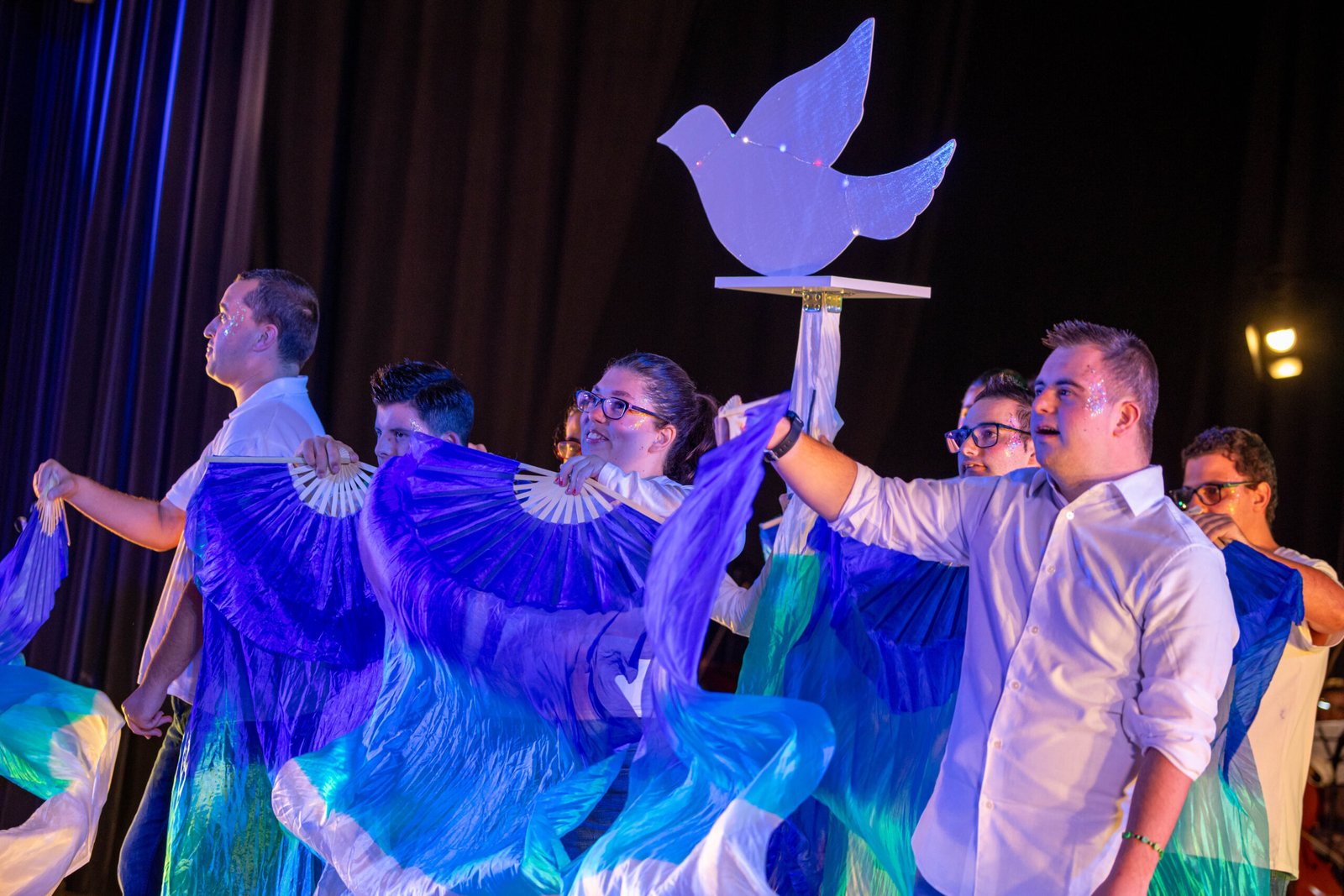 Gala Para Inclusão em Vila Franca de Xira
