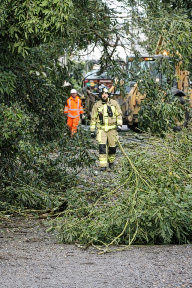 Homem morre em Vila Franca de Xira após queda de árvore. Mau tempo provoca estragos no Cartaxo e deixa moradores luz