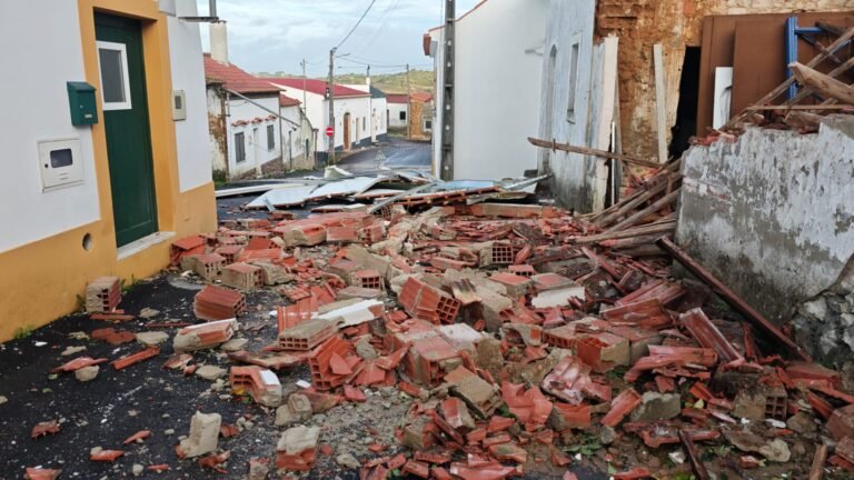 Noite de caos em Azambuja: dezenas de ocorrências, árvores caídas, casas danificadas e falta de eletricidade