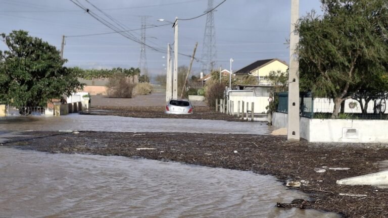 Cheias mantêm Vila Nova da Rainha sob forte pressão e EN3 continua cortada