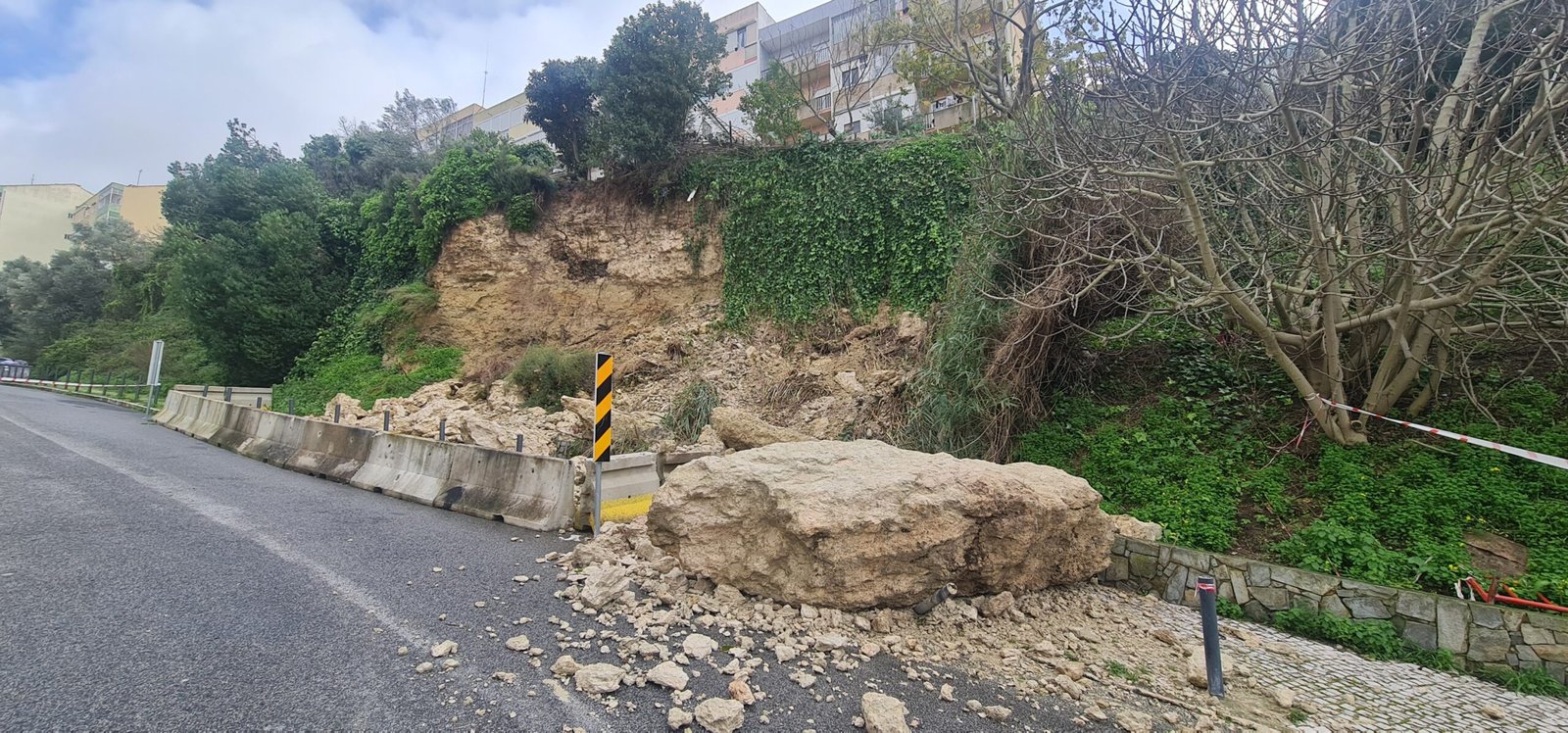 Vencedores da iniciativa promovida pelo munícipio