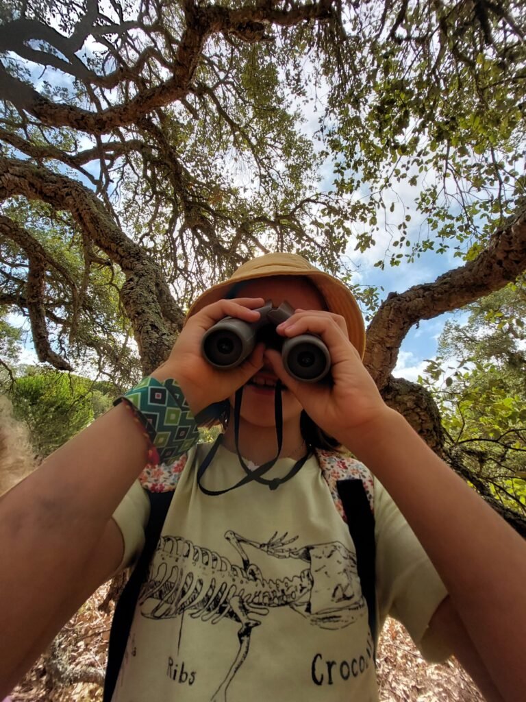 Criança com binóculos observa aves num ambiente natural arborizado no EVOA, no Estuário do Tejo