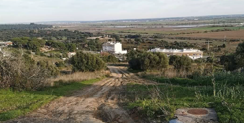PSD de Azambuja consegue aprovar estrada  entre Mata-Burros e Quinta da Marquesa