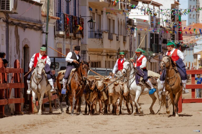 Campinos conduzem o gado pelas ruas da vila durante uma das imagens mais emblemáticas da Feira de Maio, em Azambuja.