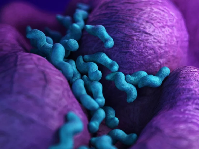 Unidade de saúde esclarece que não há evidências de surto de infeção gastrointestinal na região