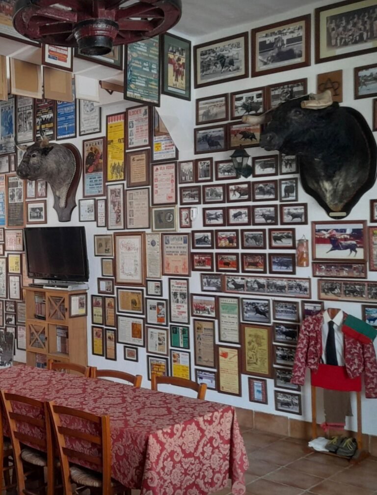 As paredes das tertúlias de Vila Franca de Xira contam décadas de história. Fotografias, cartazes, documentos e objetos ligados à tauromaquia