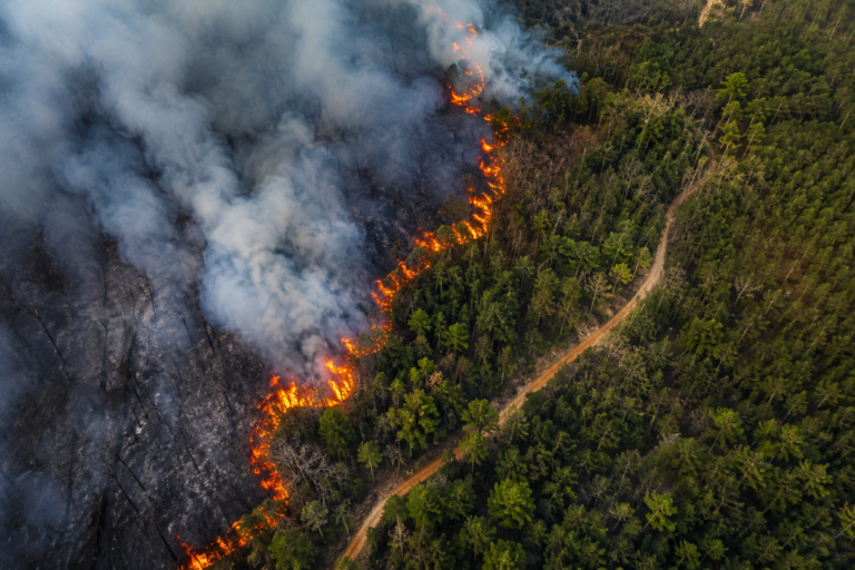 Plataforma portuguesa ajuda proprietários a prevenir incêndios e a cumprir a lei através de mapa interativo