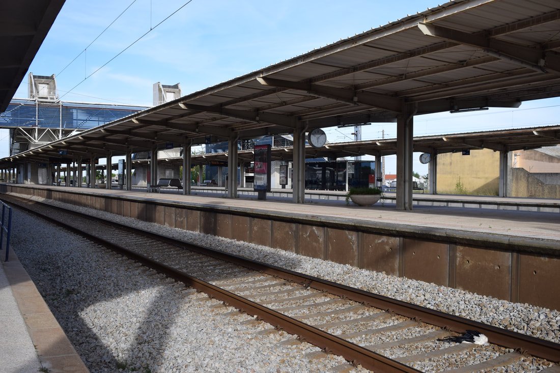 Estação ferroviária de Azambuja poderá ganhar novas valências no âmbito da futura requalificação