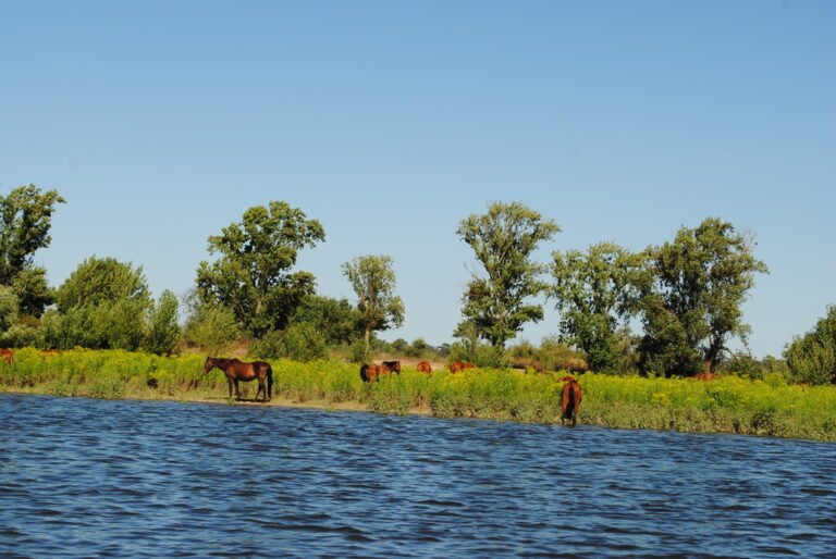 Paisagem do Tejo apresenta recortes deslumbrantes