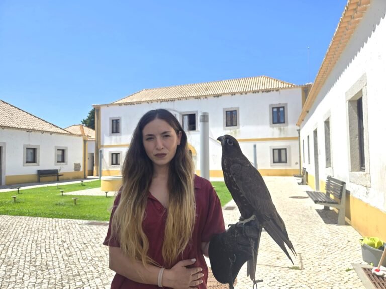 Sara Proença decidiu tornar-se falcoeira