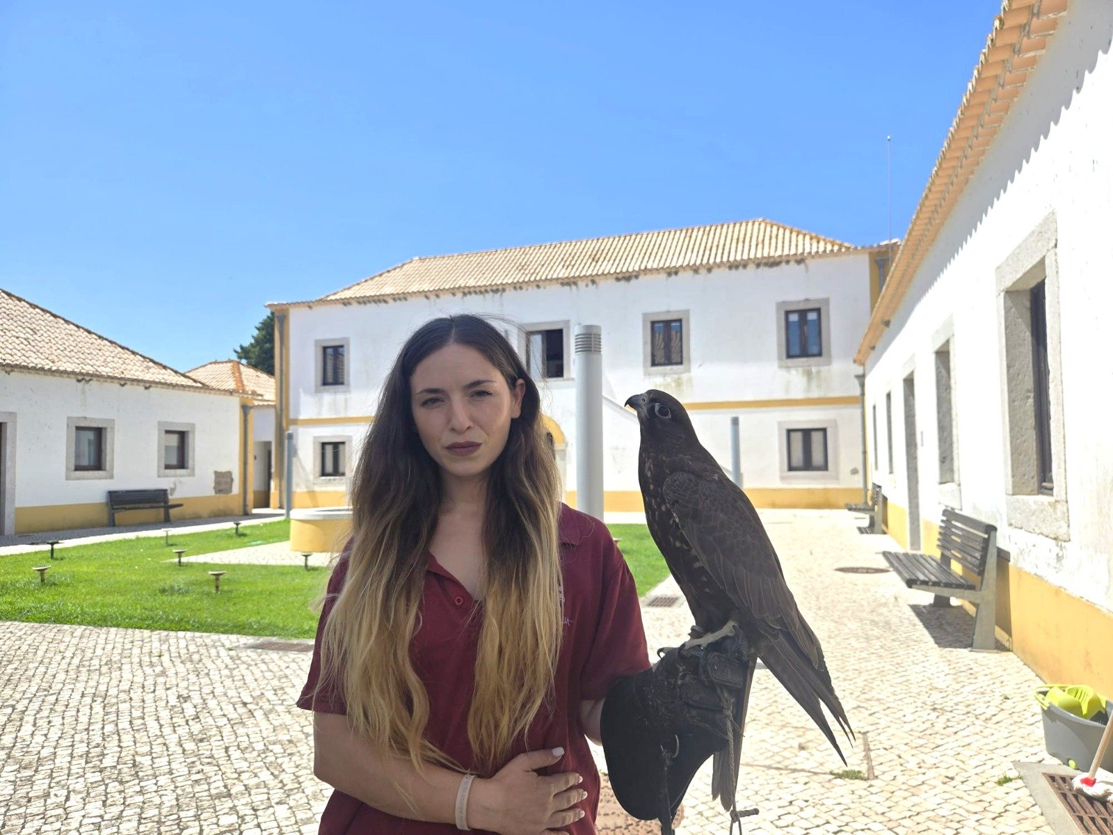Sara Proença decidiu tornar-se falcoeira