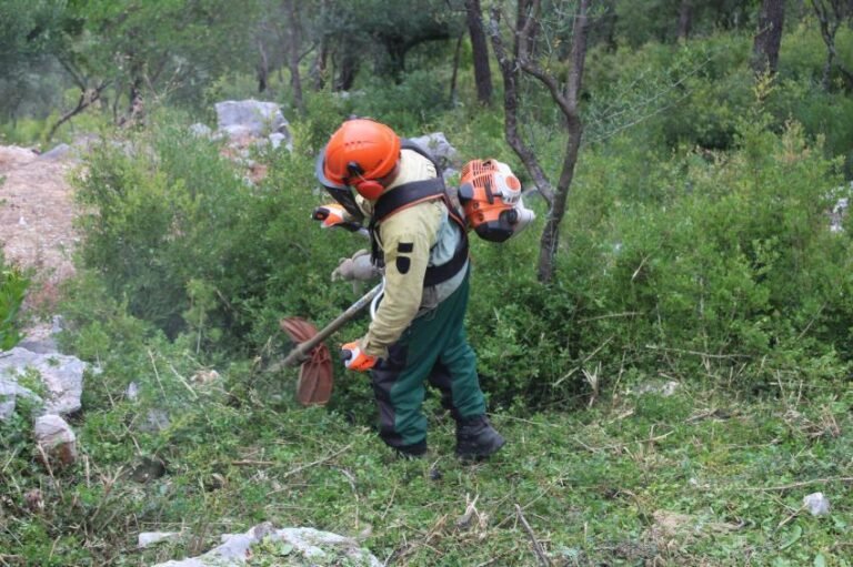 Município diz estar preparado para avançar para a limpeza de forma coerciva