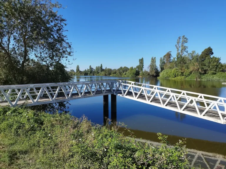 Ponte Pedonal em causa_ foto: Renato Nunes