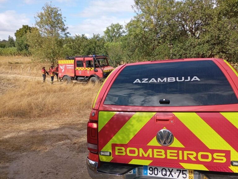 Dispositivo dos bombeiros no terreno
