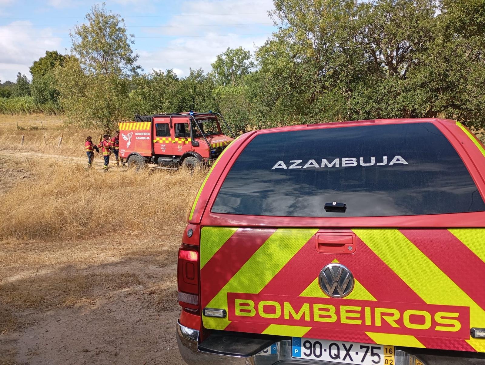 Dispositivo dos bombeiros no terreno