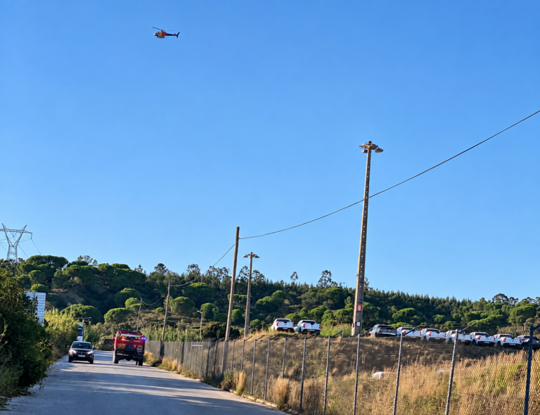 Incêndio em mato mobiliza meio aéreo junto à SIVA em Vila Nova da Rainha