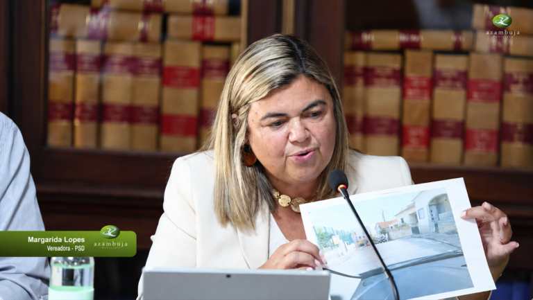 Margarida Lopes alertou para o estado das passadeiras no concelho