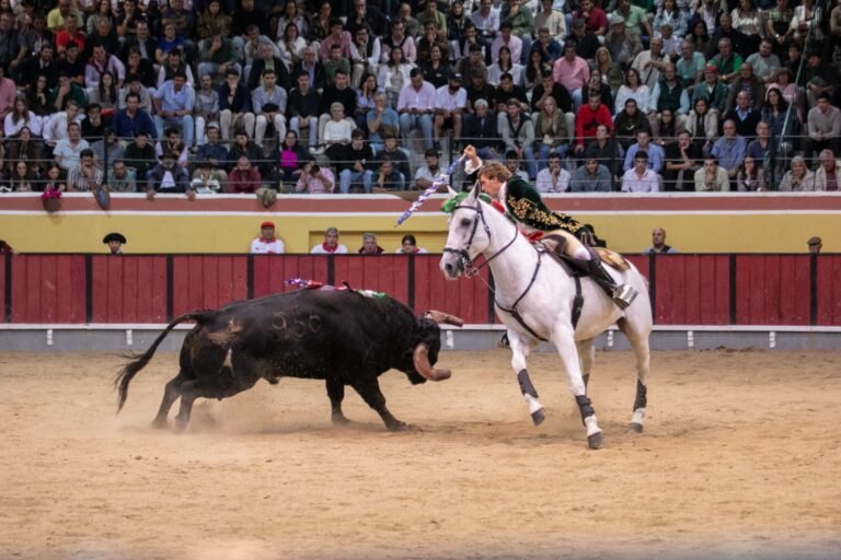 Terça-feira Nocturna: Na Arena, a Tradição Continua