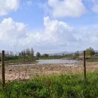 CCDR embargou obra da vacaria mas local continua a ser movimentado por máquinas