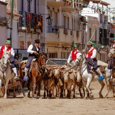 Campinos conduzem o gado pelas ruas da vila durante uma das imagens mais emblemáticas da Feira de Maio, em Azambuja.