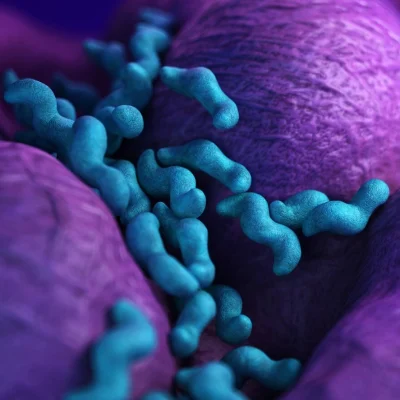 Unidade de saúde esclarece que não há evidências de surto de infeção gastrointestinal na região