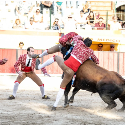 Foto: Sofia Rodrigues - Os Forcados de Vila Franca na Corrida do Colete Encarnado