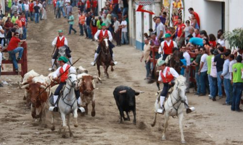 Azambuja no TOP 5 dos Municipios Mais Taurinos