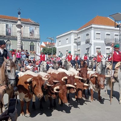 O Colete Encarnado, considerado a principal festa de Vila Franca de Xira, envolve um conjunto alargado de iniciativas 