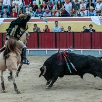 Foto (DR) © Sofia Rodrigues - Valor Local