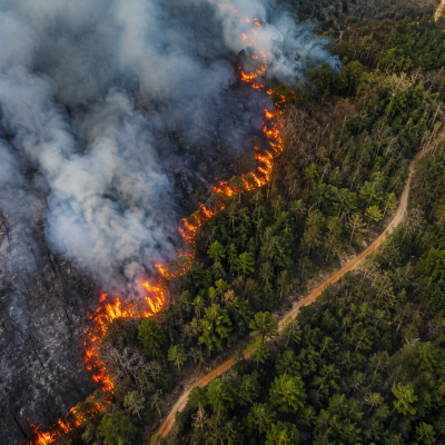 Plataforma portuguesa ajuda proprietários a prevenir incêndios e a cumprir a lei através de mapa interativo