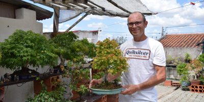 Uma paixão que deu origem a uma coleção diversificada de bonsais