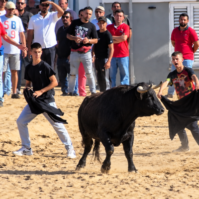 Feira de Outubro leva tradição tauromáquica às ruas de Vila Franca de Xira